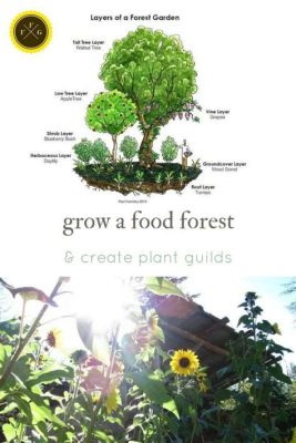  Designing Food Forests: A Practical Guide - A Feast for Both Mind and Belly!