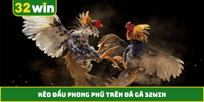 Kèo đấu phong phú trên đá gà 32WIN
